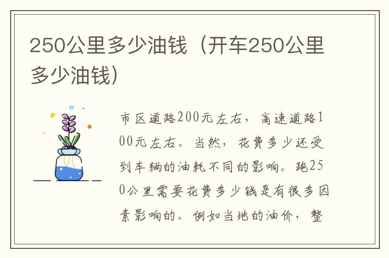 250公里多少油钱（开车250公里多少油钱）