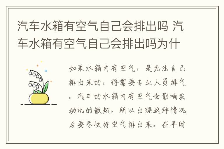 汽车水箱有空气自己会排出吗 汽车水箱有空气自己会排出吗为什么