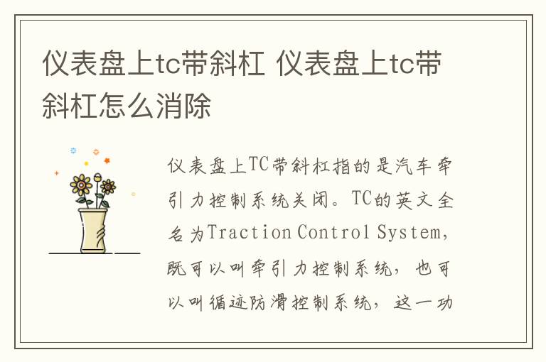 仪表盘上tc带斜杠 仪表盘上tc带斜杠怎么消除