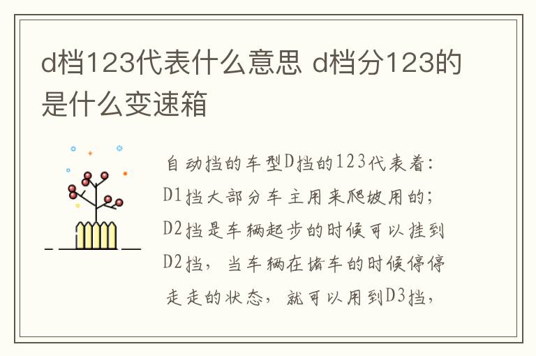 d档123代表什么意思 d档分123的是什么变速箱