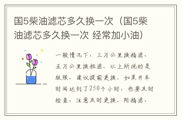 国5柴油滤芯多久换一次（国5柴油滤芯多久换一次 经常加小油）