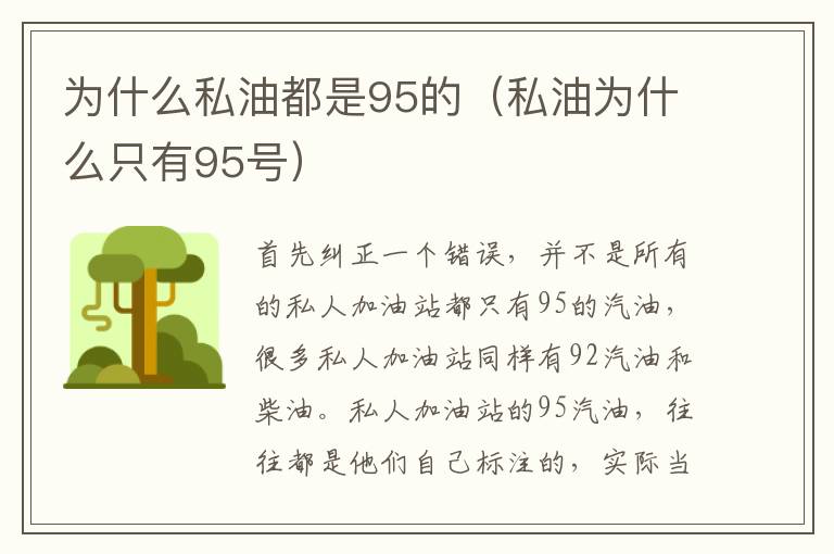 为什么私油都是95的（私油为什么只有95号）