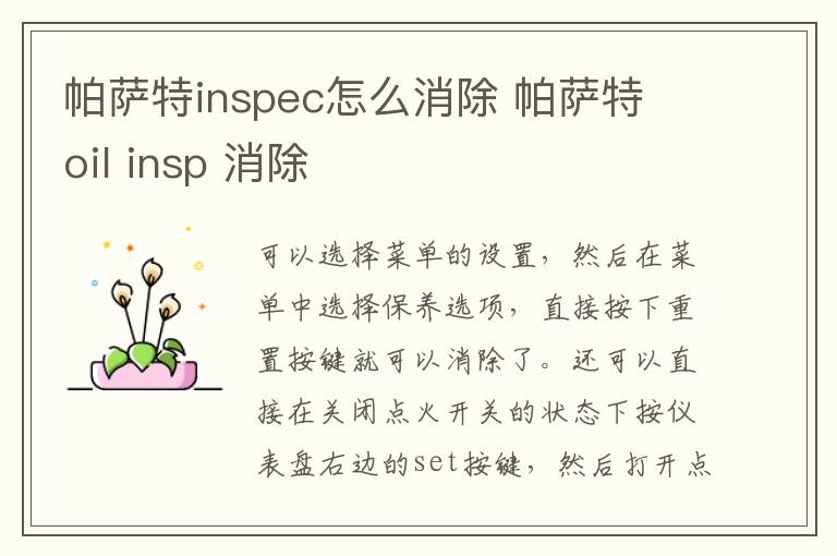 帕萨特inspec怎么消除 帕萨特 oil insp 消除