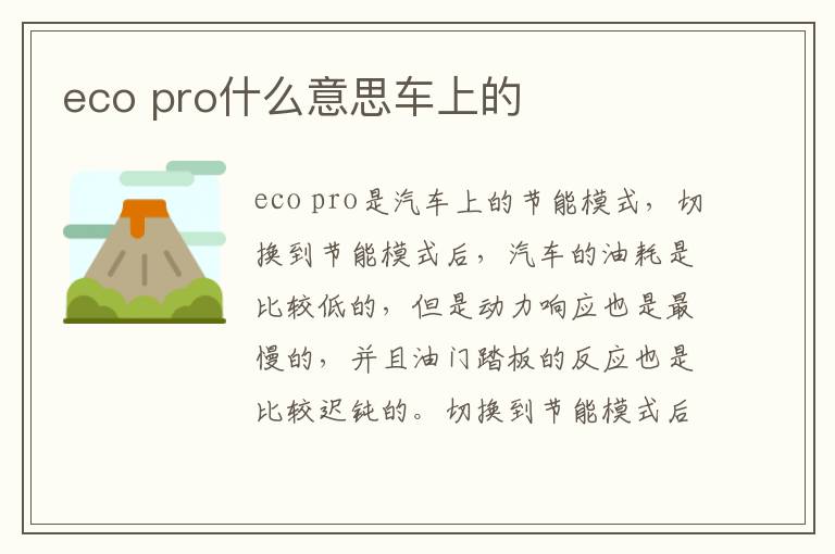 eco pro什么意思车上的