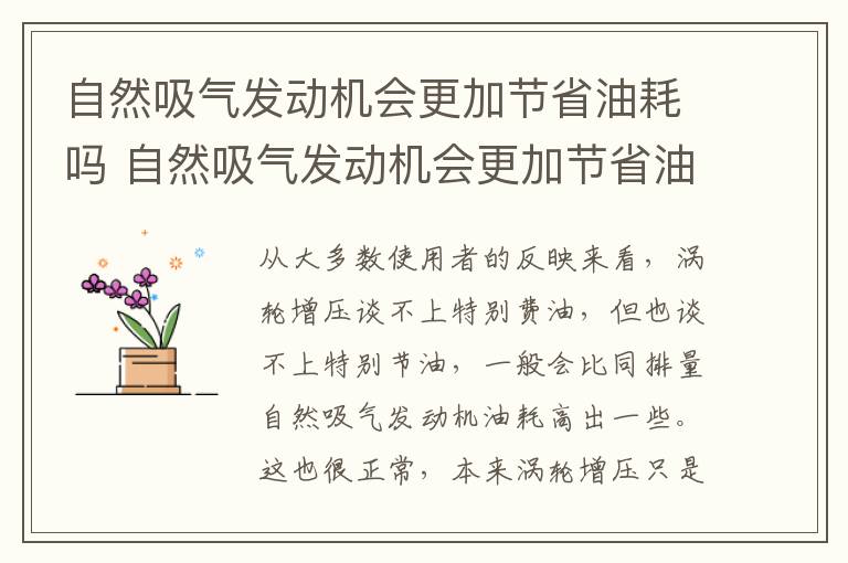 自然吸气发动机会更加节省油耗吗 自然吸气发动机会更加节省油耗吗为什么