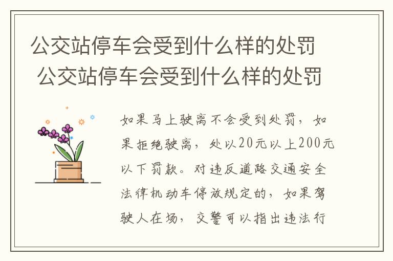 公交站停车会受到什么样的处罚 公交站停车会受到什么样的处罚呢