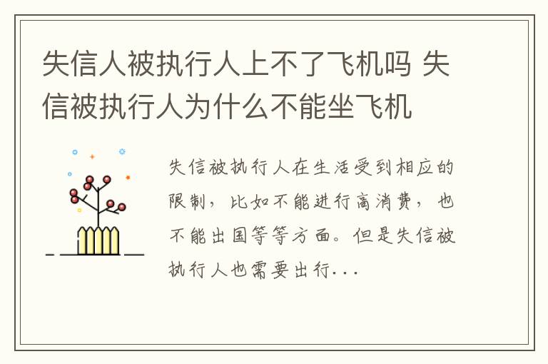 失信人被执行人上不了飞机吗 失信被执行人为什么不能坐飞机