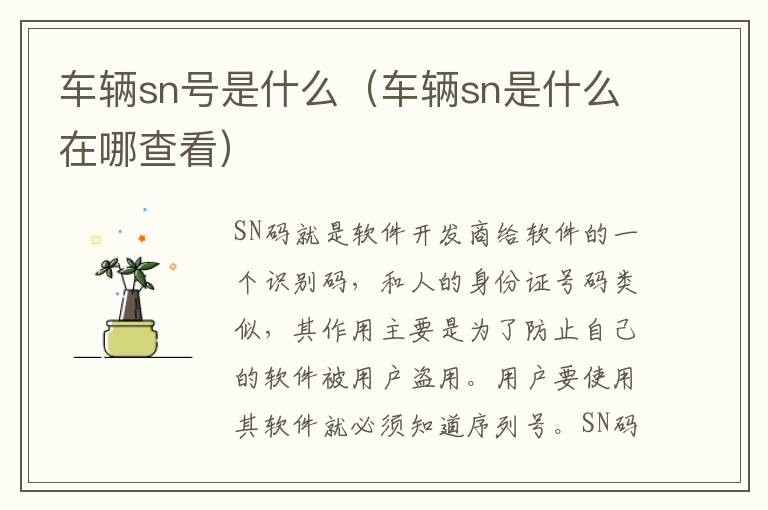 车辆sn号是什么（车辆sn是什么在哪查看）