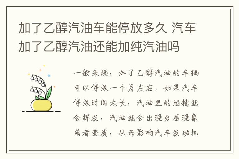 加了乙醇汽油车能停放多久 汽车加了乙醇汽油还能加纯汽油吗