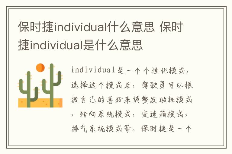 保时捷individual什么意思 保时捷individual是什么意思