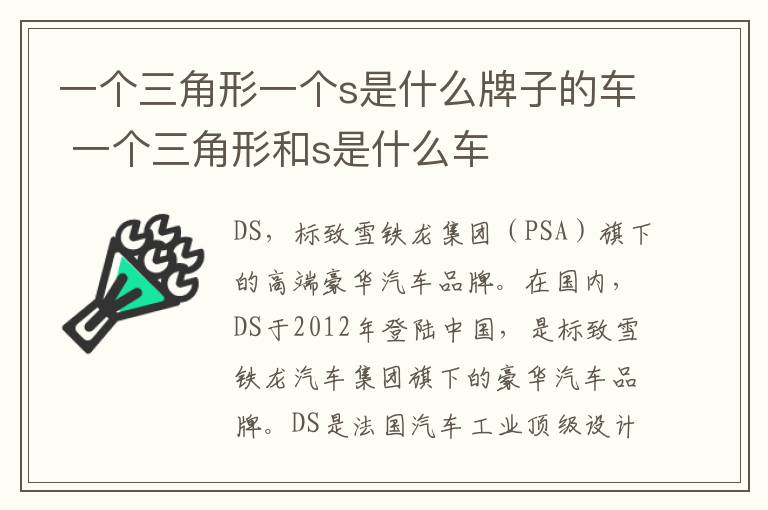 一个三角形一个s是什么牌子的车 一个三角形和s是什么车