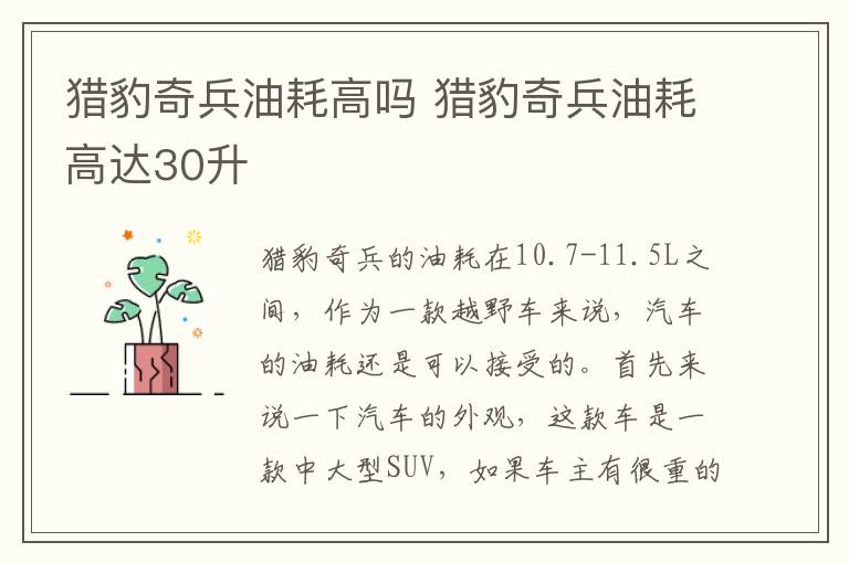 猎豹奇兵油耗高吗 猎豹奇兵油耗高达30升