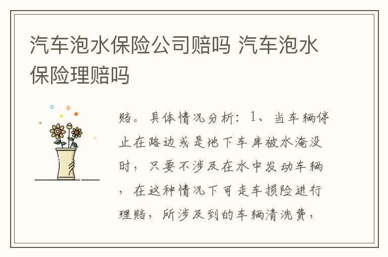 汽车泡水保险公司赔吗 汽车泡水保险理赔吗