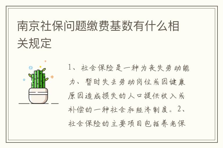 南京社保问题缴费基数有什么相关规定