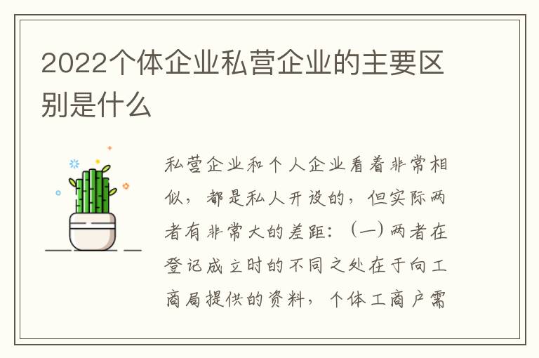 2022个体企业私营企业的主要区别是什么