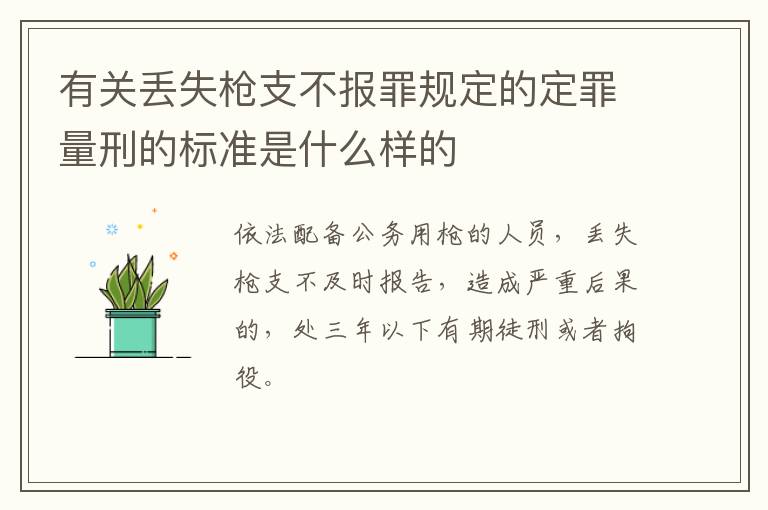 有关丢失枪支不报罪规定的定罪量刑的标准是什么样的