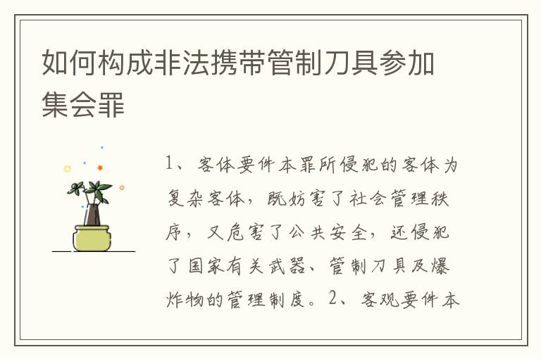 如何构成非法携带管制刀具参加集会罪