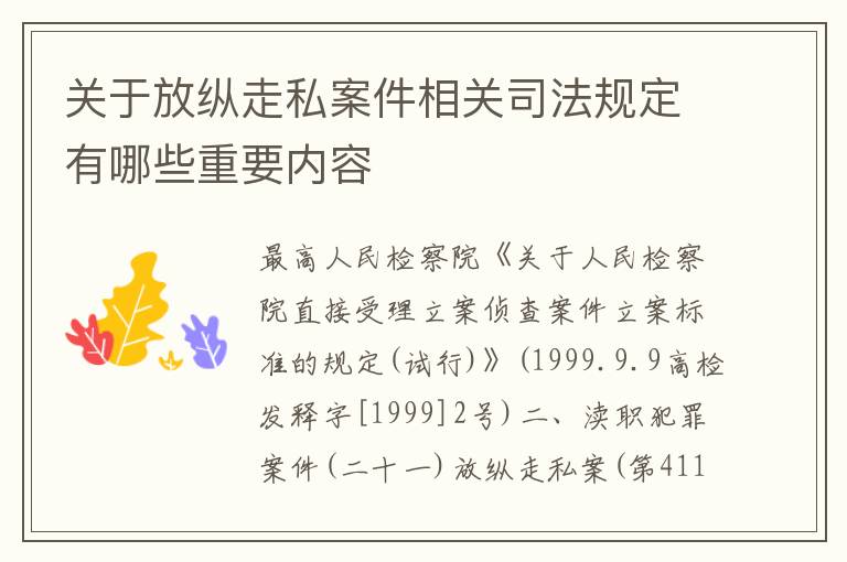 关于放纵走私案件相关司法规定有哪些重要内容