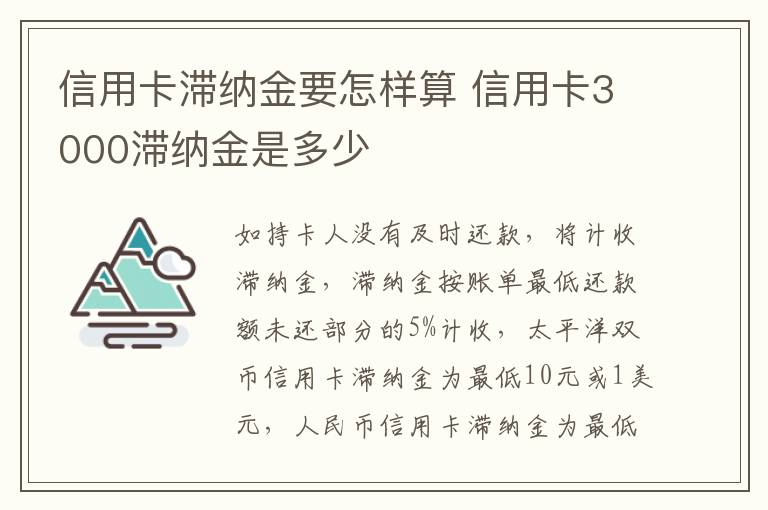 信用卡滞纳金要怎样算 信用卡3000滞纳金是多少