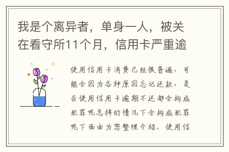 我是个离异者，单身一人，被关在看守所11个月，信用卡严重逾期，要怎么处理