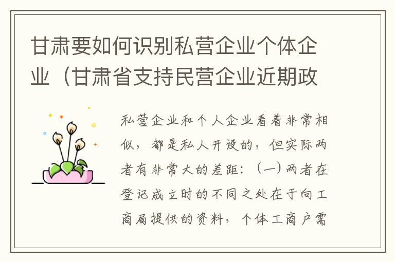 甘肃要如何识别私营企业个体企业（甘肃省支持民营企业近期政策）