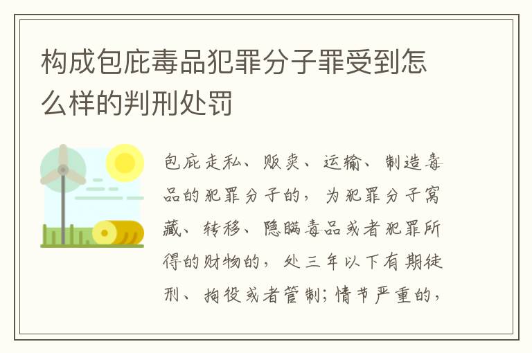 构成包庇毒品犯罪分子罪受到怎么样的判刑处罚