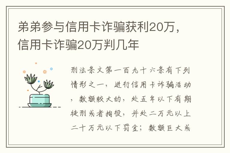 弟弟参与信用卡诈骗获利20万，信用卡诈骗20万判几年