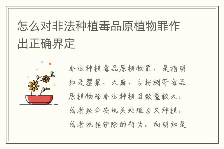 怎么对非法种植毒品原植物罪作出正确界定