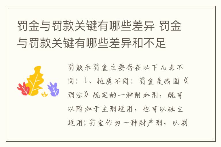 罚金与罚款关键有哪些差异 罚金与罚款关键有哪些差异和不足