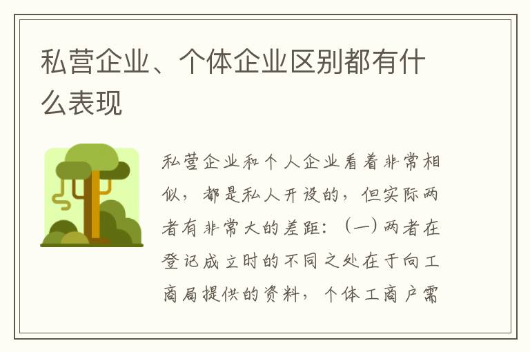 私营企业、个体企业区别都有什么表现