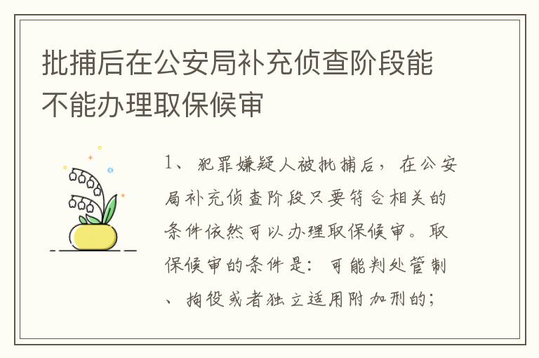 批捕后在公安局补充侦查阶段能不能办理取保候审