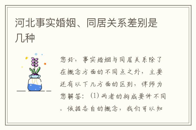 河北事实婚姻、同居关系差别是几种