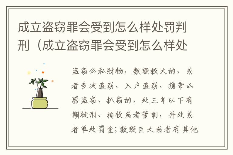 成立盗窃罪会受到怎么样处罚判刑（成立盗窃罪会受到怎么样处罚判刑吗）