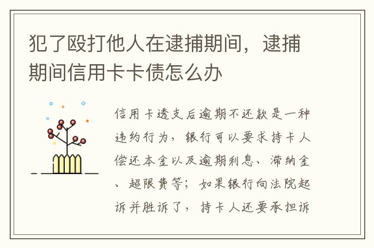 犯了殴打他人在逮捕期间，逮捕期间信用卡卡债怎么办