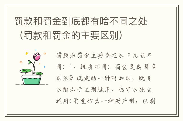 罚款和罚金到底都有啥不同之处（罚款和罚金的主要区别）