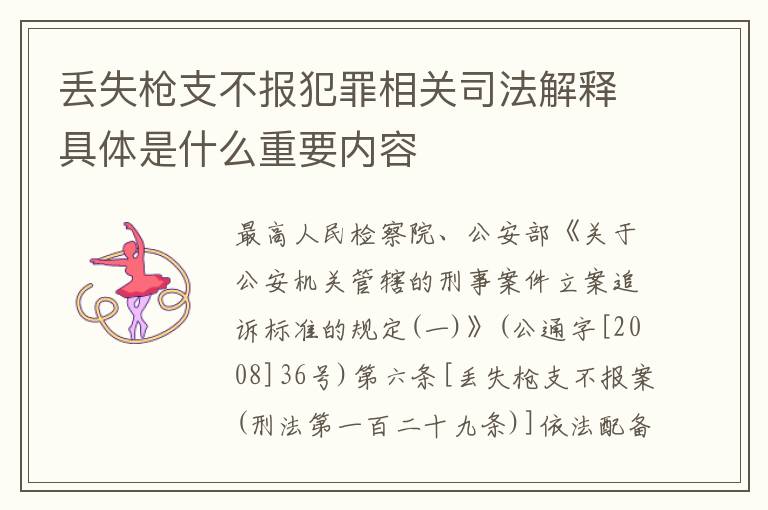 丢失枪支不报犯罪相关司法解释具体是什么重要内容