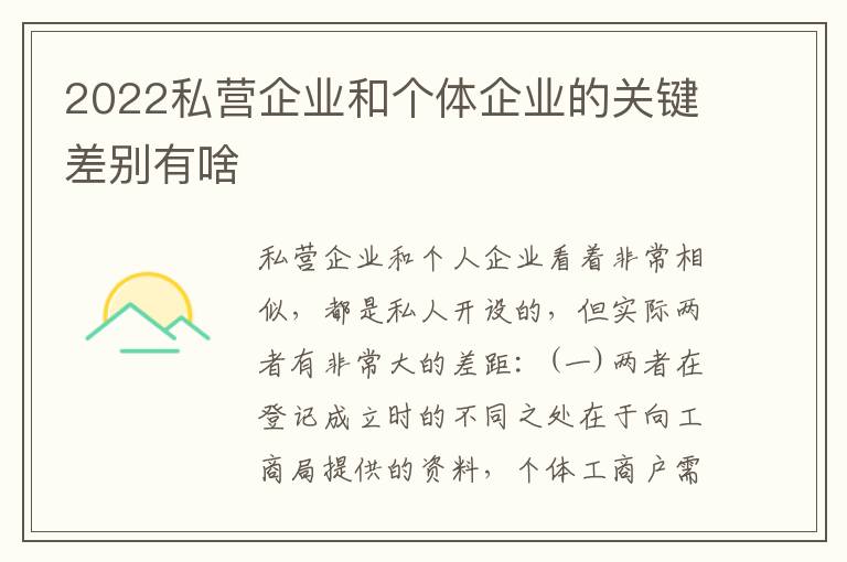 2022私营企业和个体企业的关键差别有啥