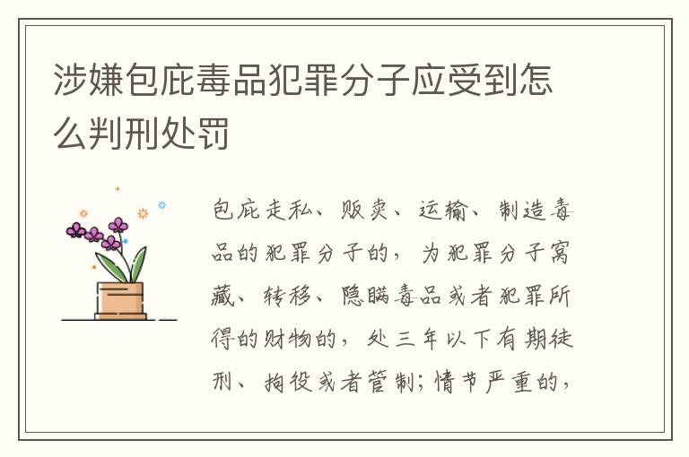 涉嫌包庇毒品犯罪分子应受到怎么判刑处罚