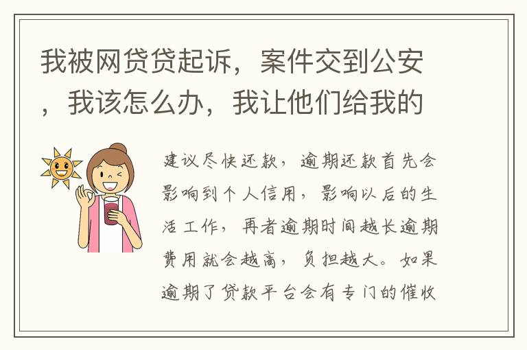 我被网贷贷起诉，案件交到公安，我该怎么办，我让他们给我的亲人道歉