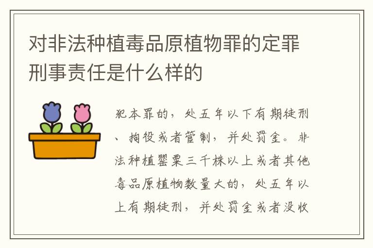 对非法种植毒品原植物罪的定罪刑事责任是什么样的