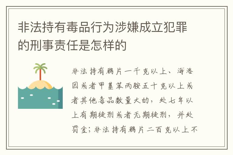 非法持有毒品行为涉嫌成立犯罪的刑事责任是怎样的