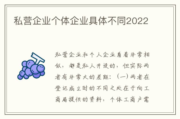 私营企业个体企业具体不同2022