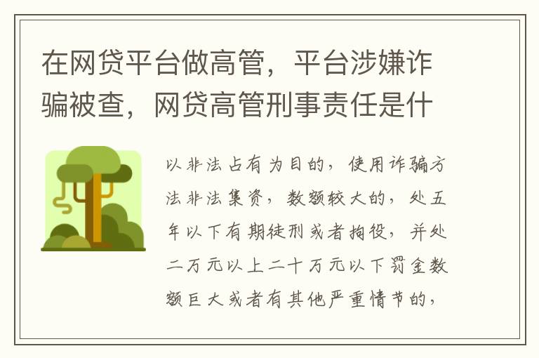 在网贷平台做高管，平台涉嫌诈骗被查，网贷高管刑事责任是什么