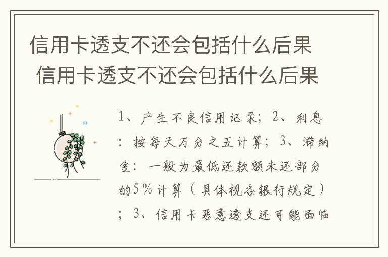 信用卡透支不还会包括什么后果 信用卡透支不还会包括什么后果呢