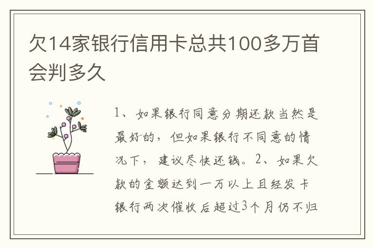 欠14家银行信用卡总共100多万首会判多久