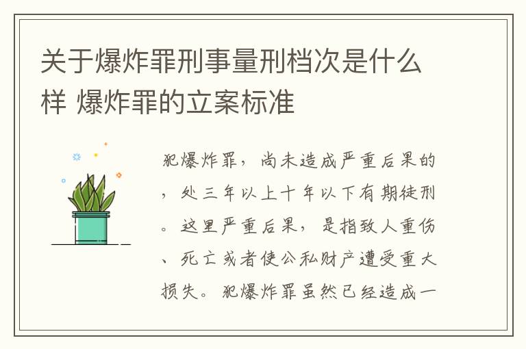 关于爆炸罪刑事量刑档次是什么样 爆炸罪的立案标准