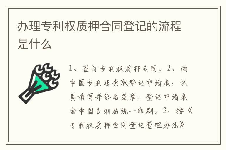 办理专利权质押合同登记的流程是什么