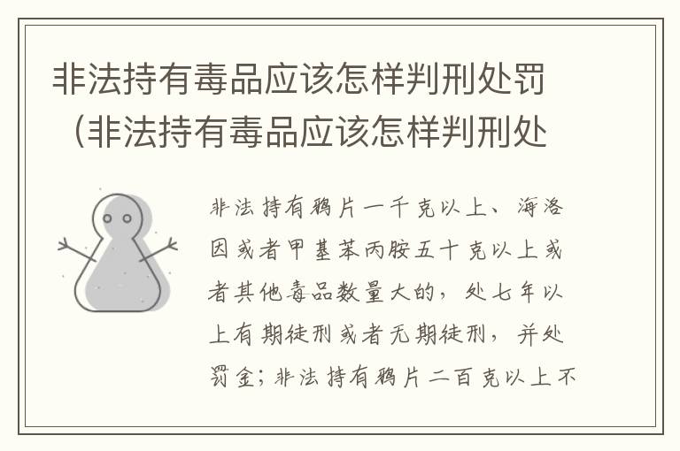 非法持有毒品应该怎样判刑处罚（非法持有毒品应该怎样判刑处罚决定书）