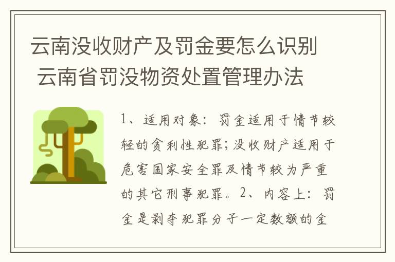 云南没收财产及罚金要怎么识别 云南省罚没物资处置管理办法