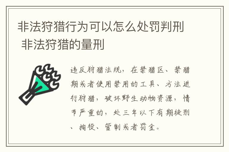 非法狩猎行为可以怎么处罚判刑 非法狩猎的量刑